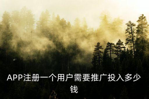 APP注冊一個用戶需要推廣投入多少錢
