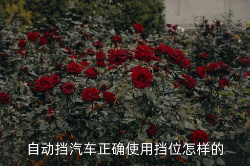 自動擋汽車正確使用擋位怎樣的
