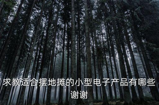 求教適合擺地?cái)偟男⌒碗娮赢a(chǎn)品有哪些謝謝