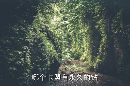 哪個卡盟有永久的鉆