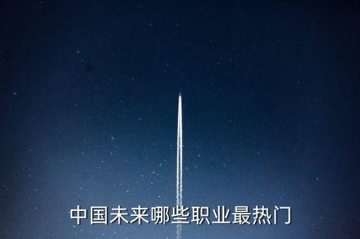 中國(guó)未來(lái)哪些職業(yè)最熱門