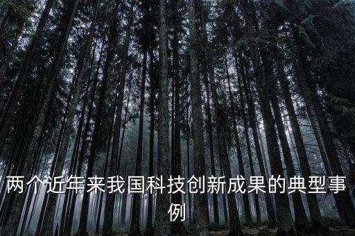 兩個(gè)近年來(lái)我國(guó)科技創(chuàng)新成果的典型事例