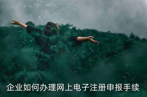 企業(yè)如何辦理網(wǎng)上電子注冊申報(bào)手續(xù)
