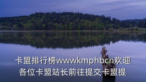 新秀業(yè)務卡盟，卡盟排行榜wwwkmphbcn歡迎各位卡盟站長前往提交卡盟提