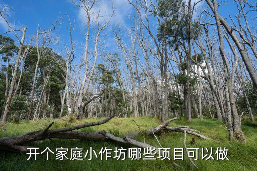開(kāi)個(gè)家庭小作坊哪些項(xiàng)目可以做