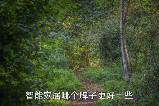 智能家居哪個牌子更好一些