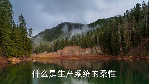 什么是生產(chǎn)系統(tǒng)的柔性