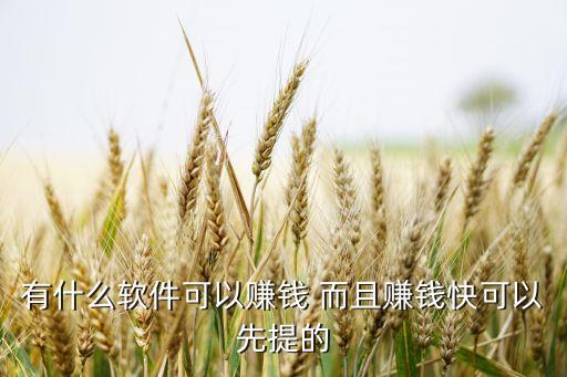 有什么軟件可以賺錢 而且賺錢快可以先提的
