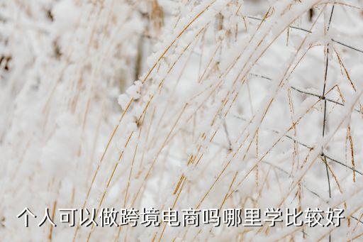 個(gè)人可以做跨境電商嗎哪里學(xué)比較好