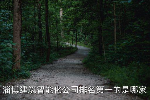 智能化公司排名，南京弱電智能化公司排名