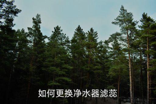 家用飲水機怎樣換濾芯，管道式過濾器飲水機換濾芯怎么換
