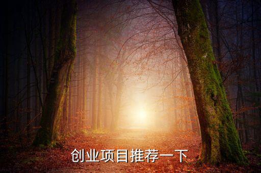 創(chuàng)業(yè)項(xiàng)目推薦一下