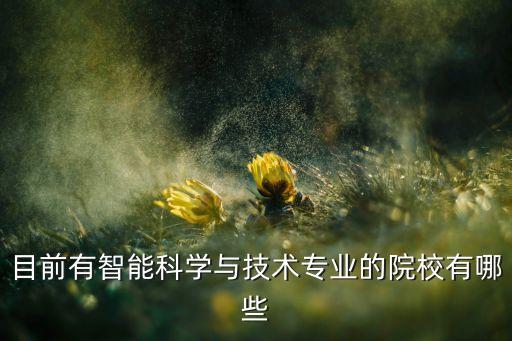目前有智能科學(xué)與技術(shù)專業(yè)的院校有哪些