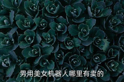 美女機器人哪里有賣，美女機器人哪里有賣的