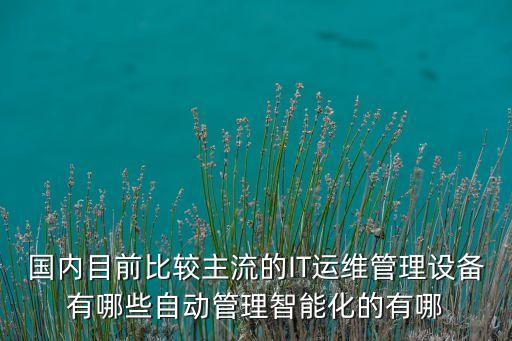 智能運(yùn)維管理系統(tǒng)平臺(tái)BDMS，國(guó)內(nèi)目前比較主流的IT運(yùn)維管理設(shè)備有哪些自動(dòng)管理智能化的有哪