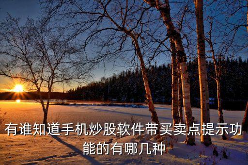炒股軟件自動提示買賣點，有誰知道手機炒股軟件帶買賣點提示功能的有哪幾種