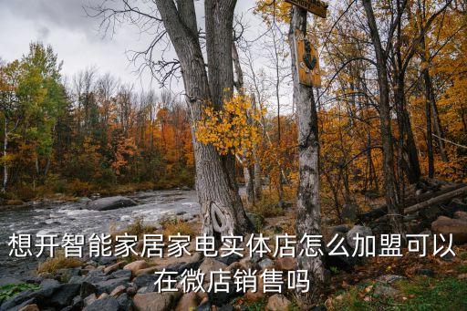 想開智能家居家電實體店怎么加盟可以在微店銷售嗎
