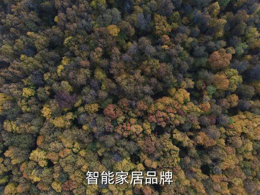 智能家居系統(tǒng)有哪些品牌，智能家居品牌有哪些