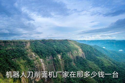 機(jī)器人面條機(jī)，機(jī)器人刀削面機(jī)現(xiàn)在多少錢一臺(tái)