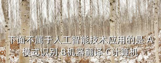 下面不屬于人工智能技術(shù)應(yīng)用的是 A模式識別 B機(jī)器翻譯 C計算機(jī)