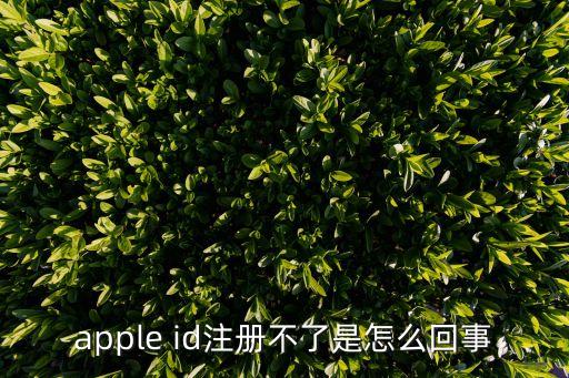 apple id注冊不了是怎么回事
