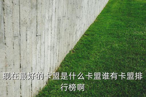 2020年最好的卡盟，卡盟排行榜哪個(gè)卡盟現(xiàn)在最好
