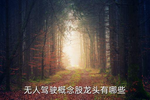 無人駕駛概念股龍頭有哪些