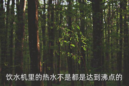 飲水機(jī)里的熱水不是都是達(dá)到沸點(diǎn)的