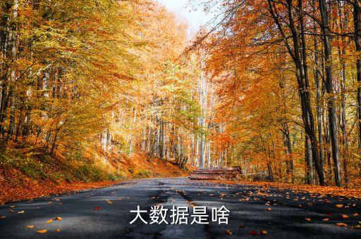 大數(shù)據(jù)是什么，大數(shù)據(jù)是啥