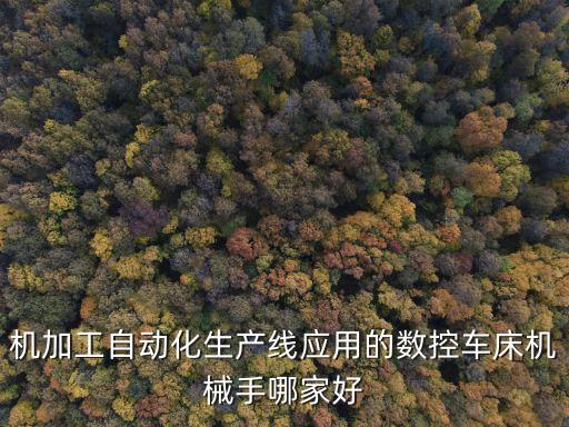 機(jī)加工自動(dòng)化生產(chǎn)線應(yīng)用的數(shù)控車床機(jī)械手哪家好