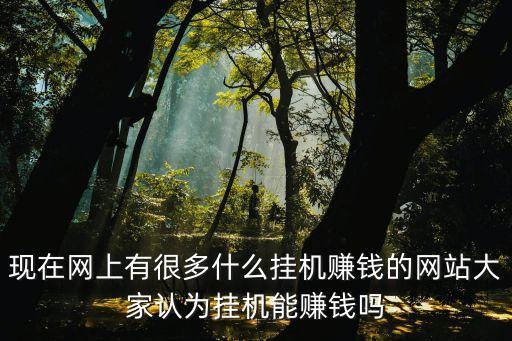 掛機(jī)賺錢平臺官網(wǎng)，現(xiàn)在網(wǎng)上有很多什么掛機(jī)賺錢的網(wǎng)站大家認(rèn)為掛機(jī)能賺錢嗎