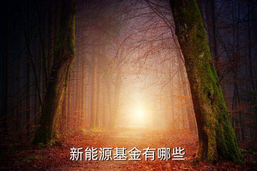 新能源有etf基金嗎，廣發(fā)基金 新能源主題的指數(shù)基金嗎