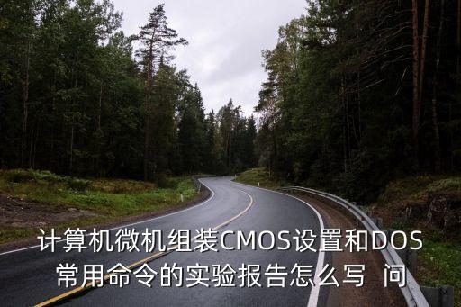 計算機微機組裝CMOS設(shè)置和DOS常用命令的實驗報告怎么寫  問
