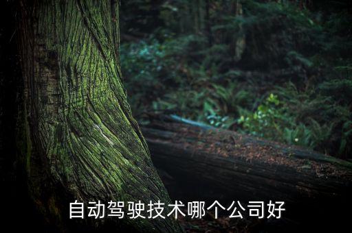做自動(dòng)駕駛的公司有哪些崗位，自動(dòng)駕駛技術(shù)哪個(gè)公司好