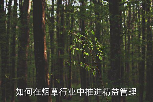 如何在煙草行業(yè)中推進(jìn)精益管理