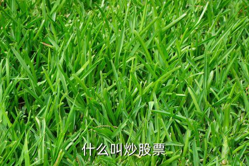炒股票，什么叫炒股票