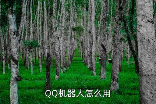 QQ云端機器人，QQ機器人怎么用