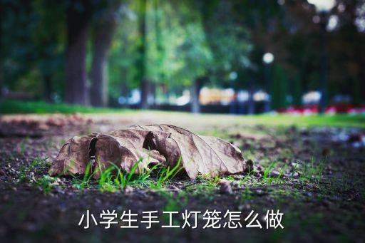 小學(xué)生手工燈籠怎么做