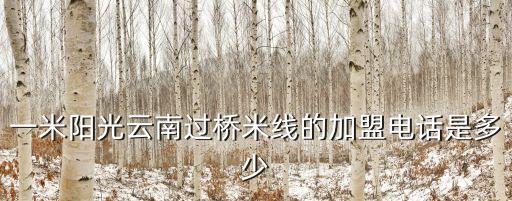 云南過(guò)橋米線加盟電話號(hào)碼，我要加盟紅利云南過(guò)橋米線怎么加盟