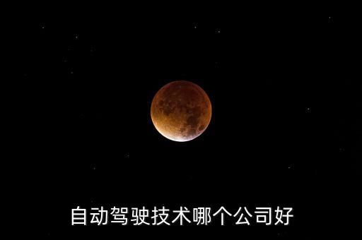 自動駕駛技術(shù)哪個公司好