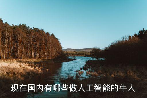 國(guó)內(nèi)人工智能領(lǐng)域大牛，現(xiàn)在國(guó)內(nèi)有哪些做人工智能的牛人