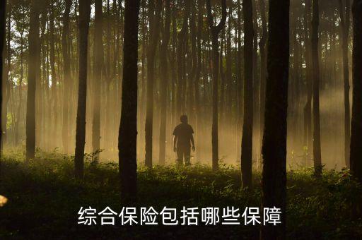 裝備綜合保障包括哪些內(nèi)容，綜合保險(xiǎn)包括哪些