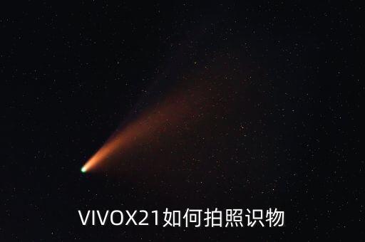 VIVOX21如何拍照識(shí)物
