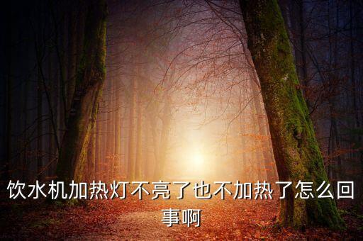 飲水機加熱燈不亮了也不加熱了怎么回事啊