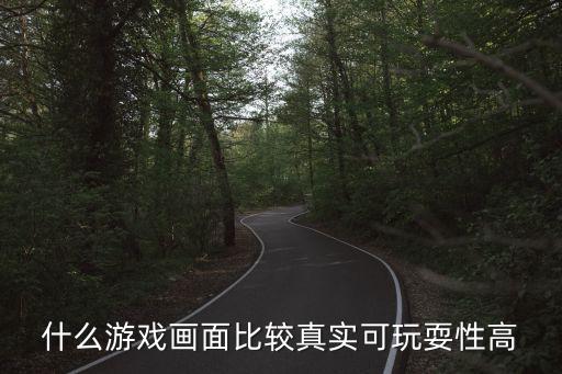 什么游戲畫面比較真實(shí)可玩耍性高
