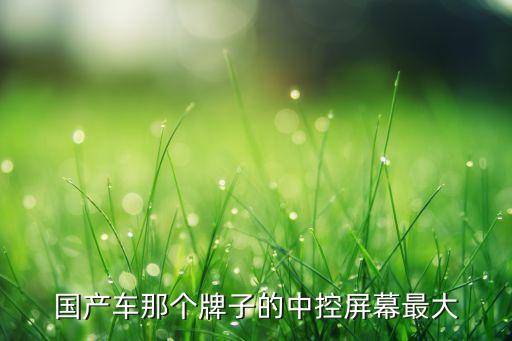 國產(chǎn)車那個牌子的中控屏幕最大