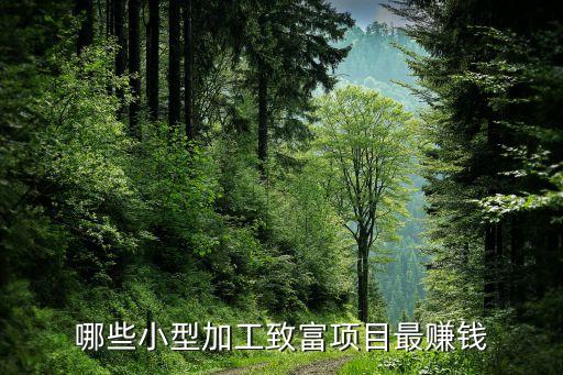 致富小機(jī)器加工項(xiàng)目手動制磚機(jī)，小型加工致富項(xiàng)目