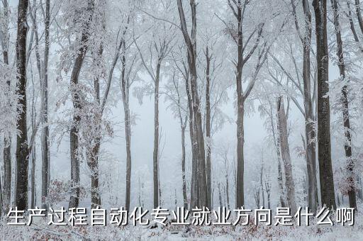 生產(chǎn)過(guò)程自動(dòng)化專(zhuān)業(yè)就業(yè)方向是什么啊