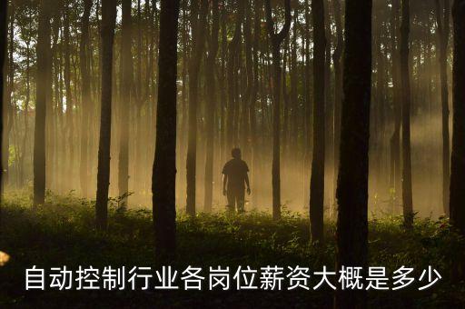 自動(dòng)控制行業(yè)各崗位薪資大概是多少