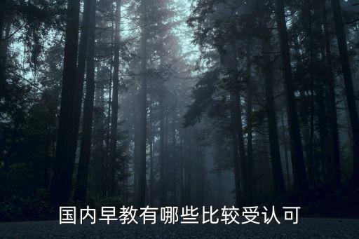 國內(nèi)早教有哪些比較受認可